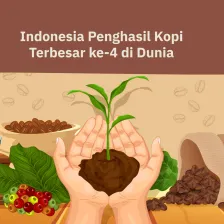 Indonesia Penghasil Kopi Terbesar ke-4 di Dunia