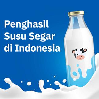 Penghasil Susu Segar di Indonesia