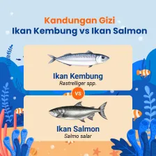 Kandungan Gizi Ikan Kembung vs Ikan Salmon