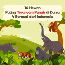 Sebagian Besar Hewan Paling Terancam Punah Sedunia Ada di Indonesia