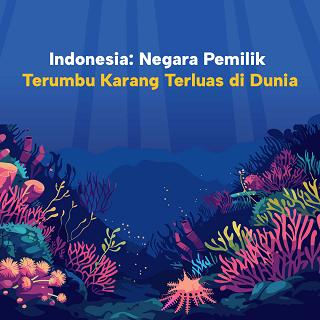 Indonesia: Negara Pemilik  Terumbu Karang Terluas di Dunia