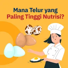 Mana Telur yang Paling Tinggi Nutrisi?