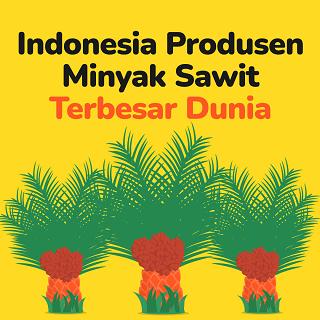 Indonesia Produsen Minyak Sawit Terbesar Dunia