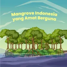 Mangrove Indonesia yang Amat Berguna