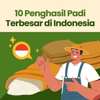 10 Penghasil Padi Terbesar di Indonesia