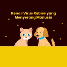 Kenali Virus Rabies yang Menyerang Manusia