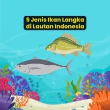 5 Jenis Ikan Langka di Lautan Indonesia