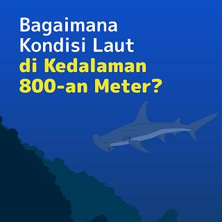Bagaimana Kondisi Laut di Kedalaman 800-an Meter?
