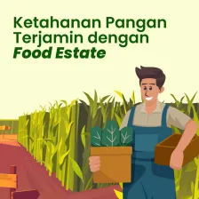 Ketahanan Pangan Terjamin dengan Food Estate
