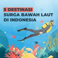 5 Destinasi Surga Bawah Laut di Indonesia