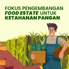 Fokus Pengembangan Food Estate untuk Ketahanan Pangan