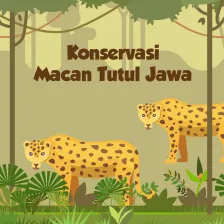 Konservasi Macan Tutul Jawa