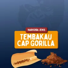 Narkoba Jenis Tembakau Cap Gorilla