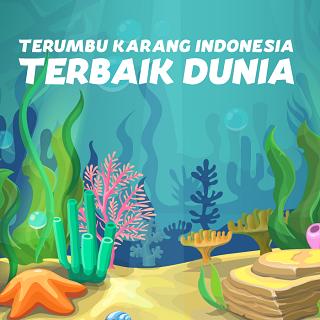 Terumbu Karang Indonesia Terbaik Dunia 