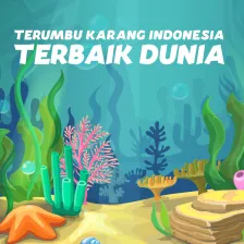 Terumbu Karang Indonesia Terbaik Dunia 