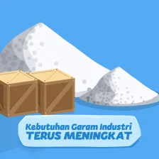 Kebutuhan Garam Industri Terus Meningkat