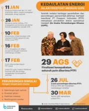 Kedaulatan Energi, Jalan Freeport Menuju IUPK