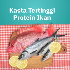 Jenis Ikan Tinggi Protein Sumber Gizi Terbaik untuk Kesehatan Tubuh