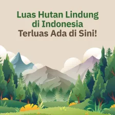 Luas Hutan Lindung di Indonesia, Terluas Ada di Daerah Ini