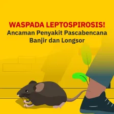 Waspada Leptospirosis, Ancaman Penyakit Pascabencana Banjir dan Longsor