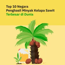 Top 10 Negara Penghasil Minyak Kelapa Sawit Terbesar di Dunia