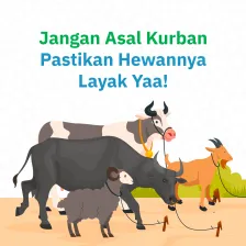 Jangan Asal Kurban, Pastikan Hewannya Layak Yaa!