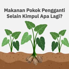 Makanan Pokok Pengganti, Selain Kimpul Apa Lagi?
